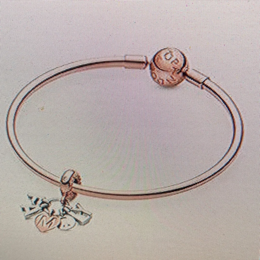 Pandora Rose Gold and Silver Family Bracelet Charm