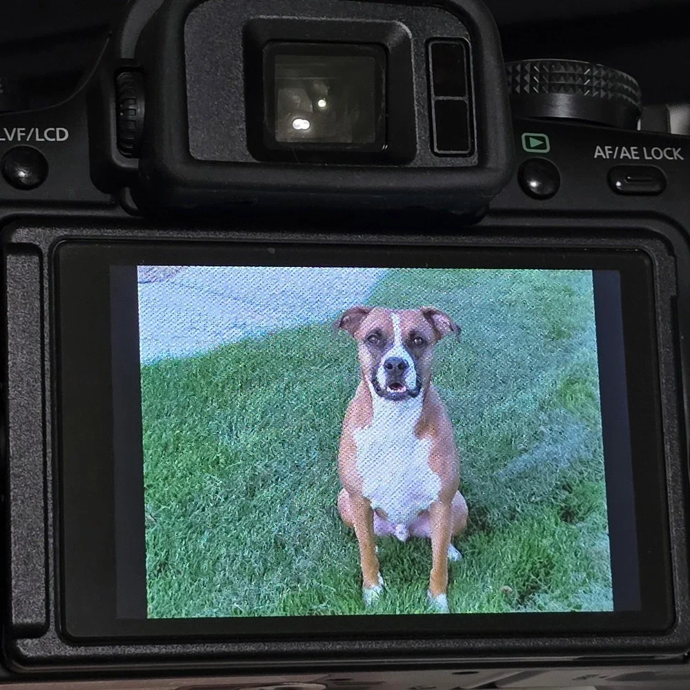 Panasonic includes lumix
