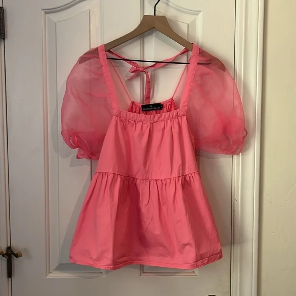 Tuckernuck X Pomander Place | Pink Tinsley Sheer‎ Puff Sleeve Top Size Medium