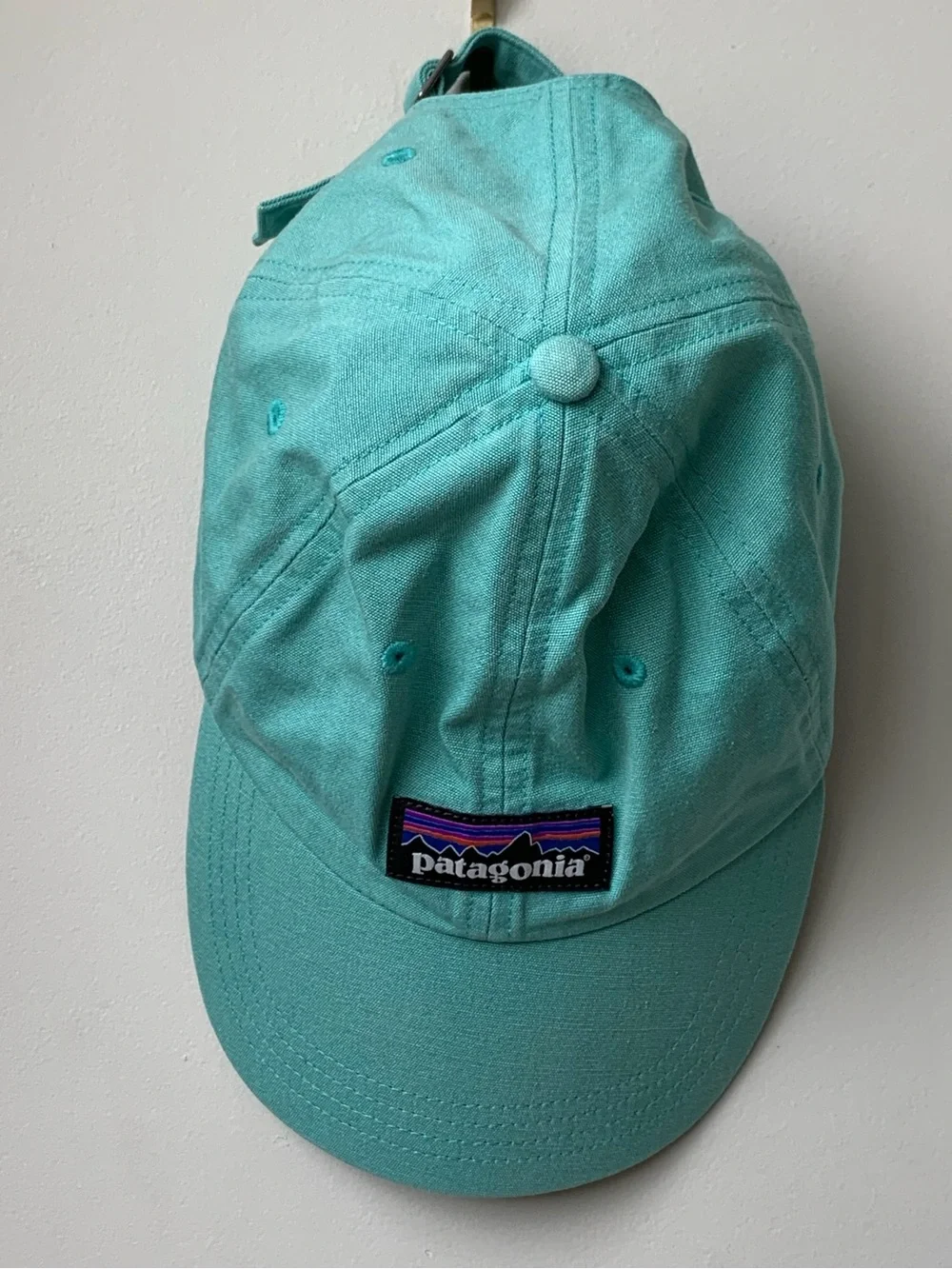 Patagonia