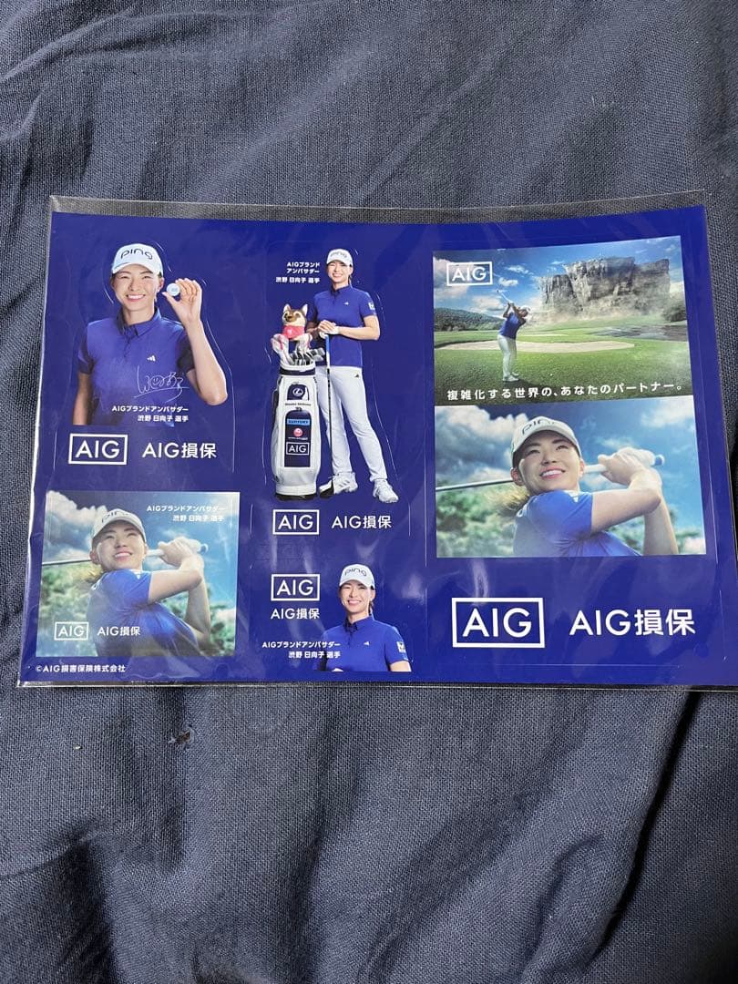 AIG Clear File Marker PROV1x Golf Set